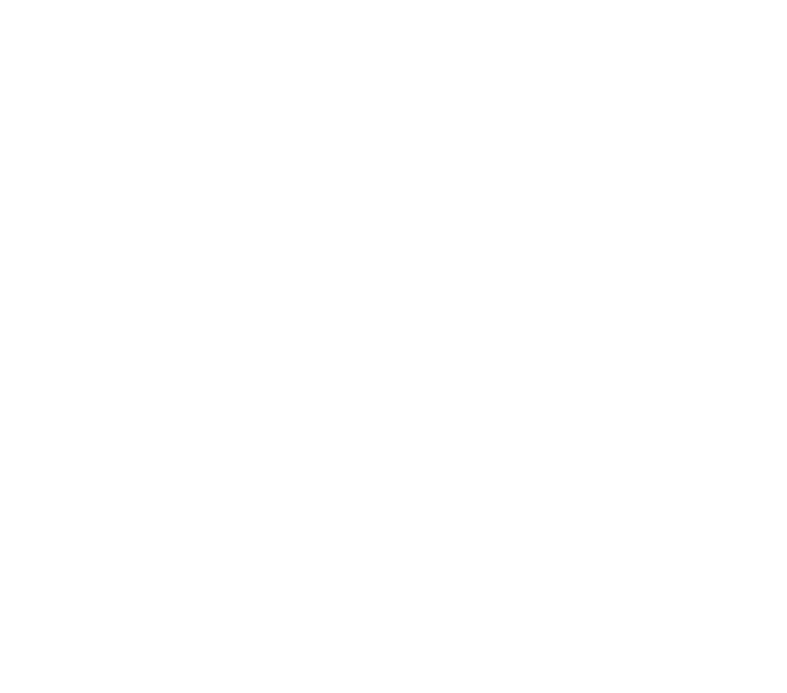 bluesky media kit logo transparent 3(1)