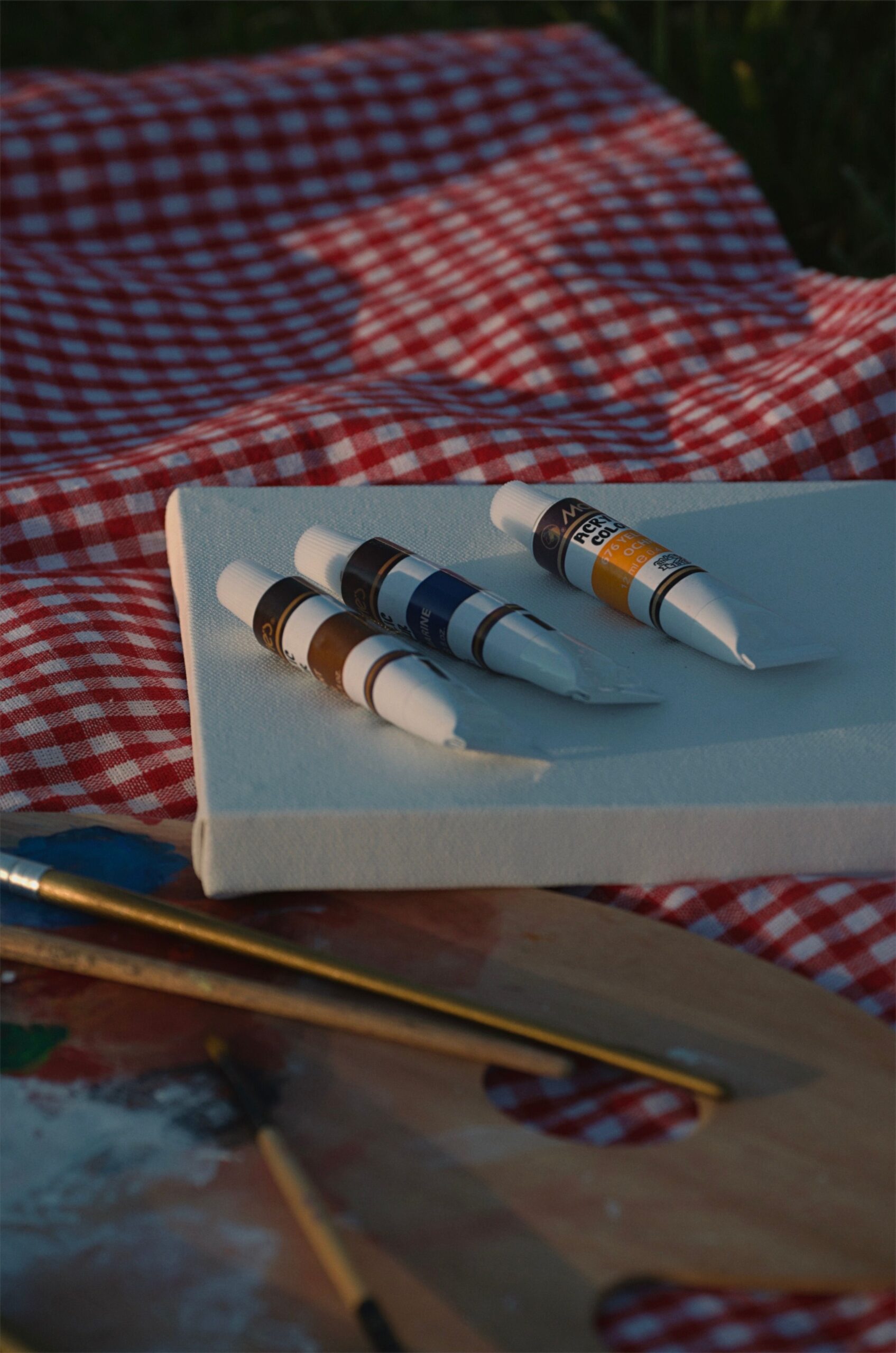 Painting essentials on a checkered picnic blanket outdoors.